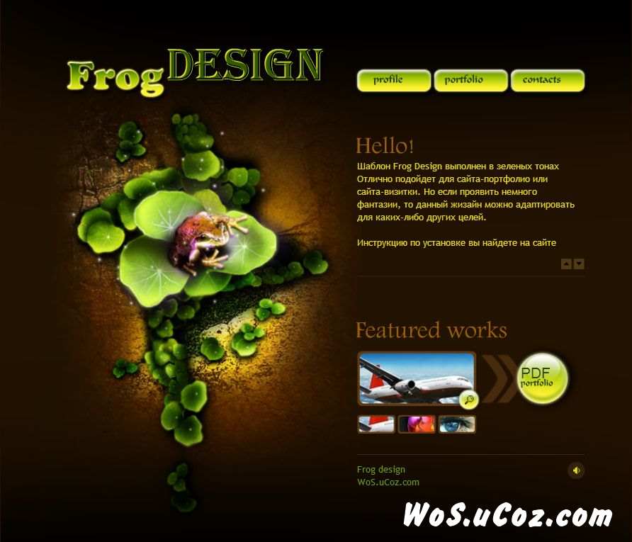 Flash шаблон Frog Design